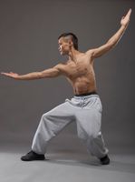 ورزش رزمی کاراته تکواندو مبارزه 3