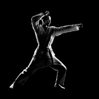 ورزش بانوان کاراته تکواندو