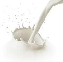 لبنیات فروشی شیر لبنیات 