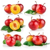 میوه فروشی شابلون 