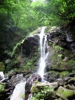 طبیعت آبشار جنگل ایران 43
