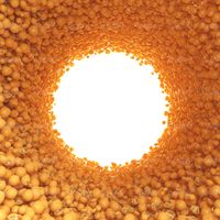 میوه فروشی سوپر میوه میوه سرا