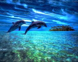 دلفین پارک آبی آکواریوم منظره زیر آب