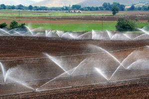 کشاورزی گیاه آبیاری قطره ای