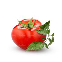 آبمیوه گوجه فرنگی آب میوه طبیعی