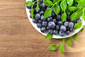 میوه فروشی blueberry بلوبری
