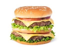 اغذیه فست فود رستوران ساندویچ