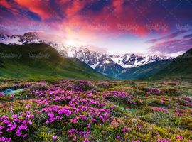 دشت گل بهار منظره چشم انداز کوهستان