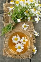 دم نوش چای گیاهی گل و گیاهان دارویی