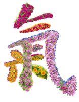 گلفروشی دسته گل نماد گل نشان گل