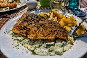 ظرف غذا پیتزا