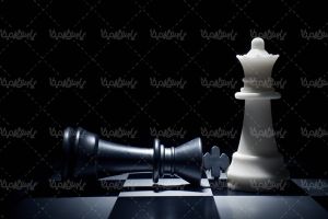 مهره های شطرنج