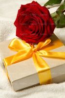 شاخه گل رز