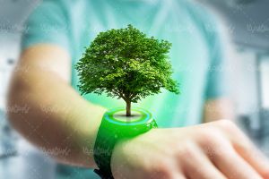 حفظ محیط زیست درخت