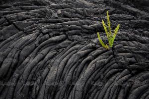 Volcanoes