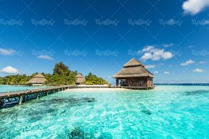 Island