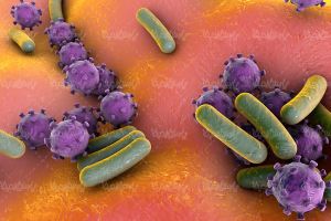 تصویر ذره بینی