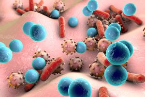 تصویرمیکروسکوپی