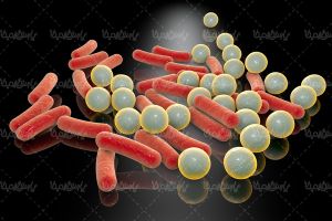 تصویرمیکروسکوپی