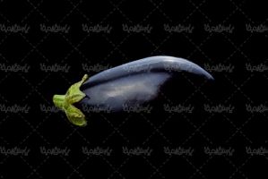 Eggplant