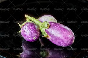 Eggplant