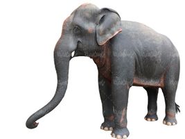 دانلود رایگان عکس فیل