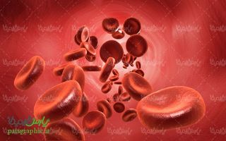 آناتومی خون