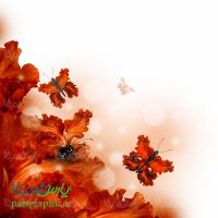 Background of flowers and butterflies