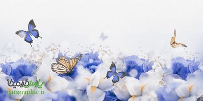 Background of flowers and butterflies