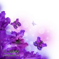 Background of flowers and butterflies