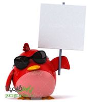 پرنده