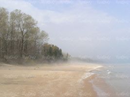 ساحل مه آلود