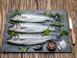 Fish