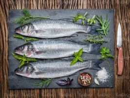 Fish