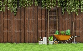عکس با کیفیت پرورش گل