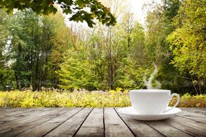 Cup of coffee
