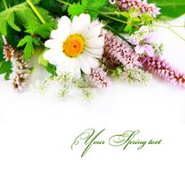 بک گراند گل