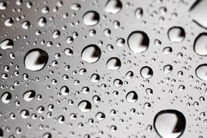 Download Free Water Drops Background