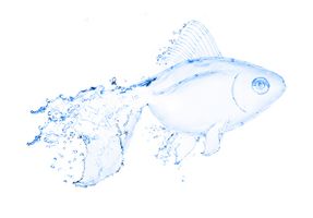 تصویر ماهی