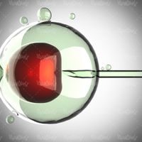 بیوتکنولوژی