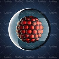 بیوتکنولوژی