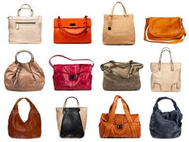purse