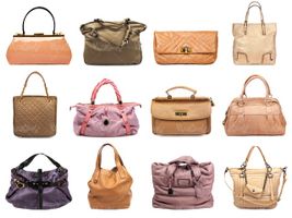 purse
