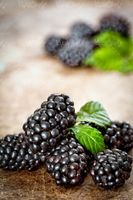 BlackBerry