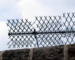 حفاظ