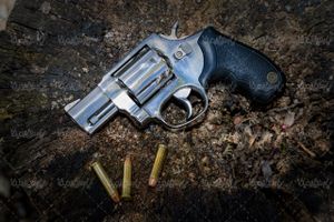 Revolver