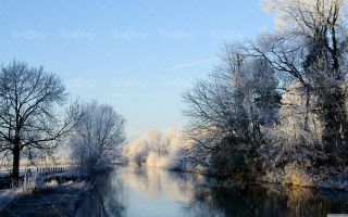 Snowy landscape