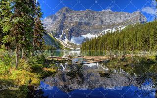 تصویر با کیفیت کوه و چشم انداز دریاچه همراه با جنگل سوزنی