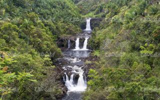 تصویر با کیفیت رودخانه جنگلی و چشم انداز جنگل ، آبشار