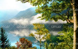 تصویر با کیفیت فصل تابستان به همراه دریاچه و کوهای پوشیده از درخت